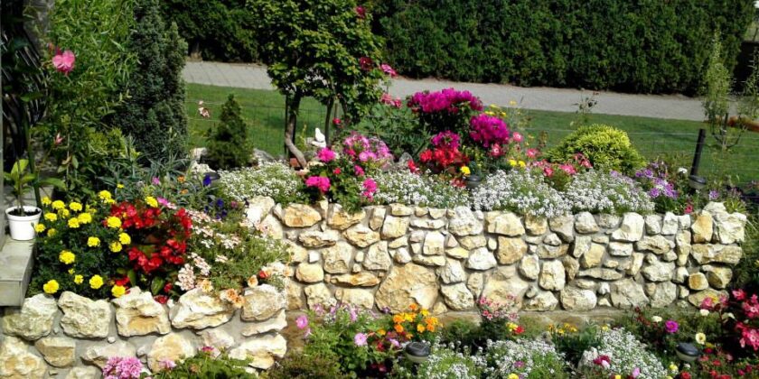 Iata regulile care te vor ajuta sa ai o gradina impecabila